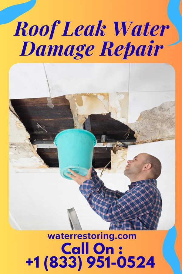 Roof Leak Water Damage Repair in Stites, ID